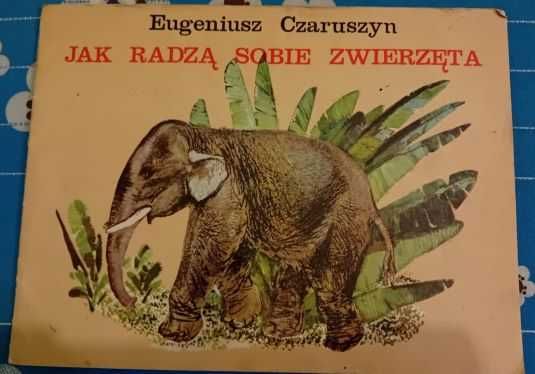 Czaruszyn Eugeniusz - Jak radzą sobie zwierzęta