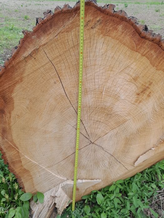 Dąb w klocku  4 x 4 metry na foszty foszt dębowe