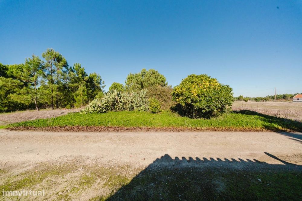 Oportunidade em Melides: Terreno com projeto para moradia T4