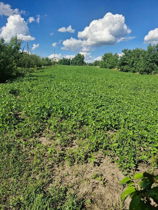 Земля Ярмолинці, 25 соток, під забудову Хмельницька обл.