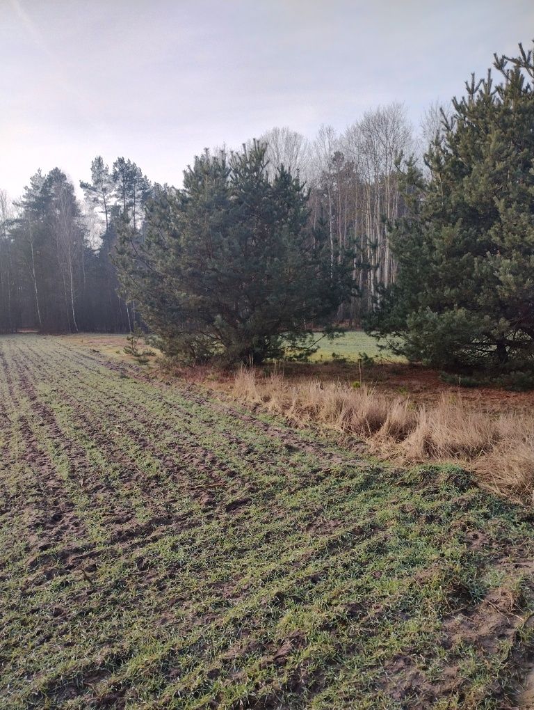Grabszczyzna Działka Budowlana Cisza,Prywatnosc,Natura !!!