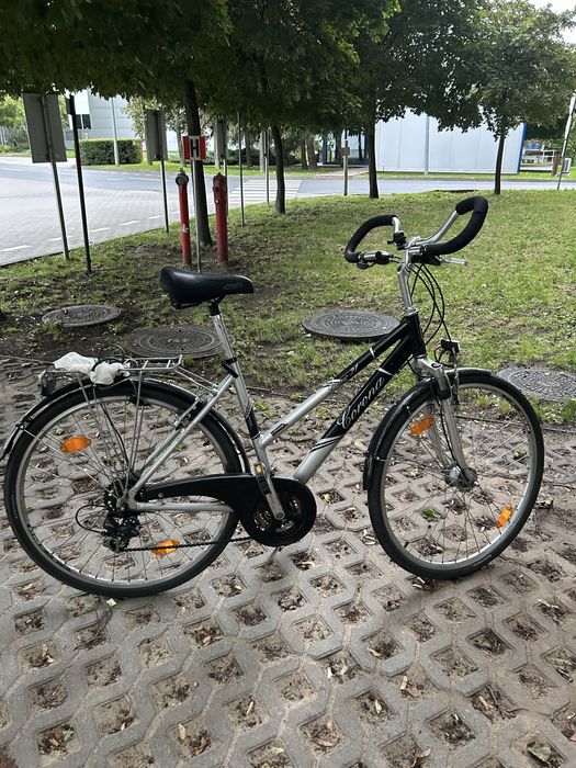Sprzedam rowery damskie, męskie 300zl jeden za dwa za 700zl