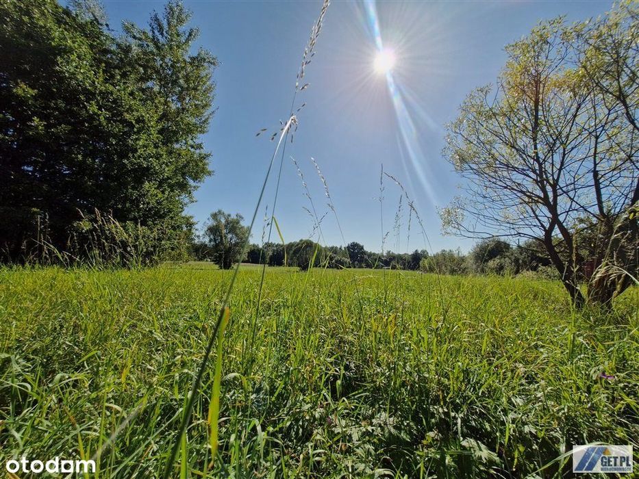 Działka budowlana w zielonym otoczeniu, Radziszów