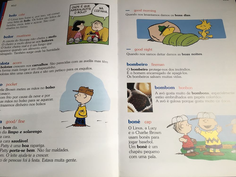 Livro: O Dicionário do Charlie Brown - oferta portes