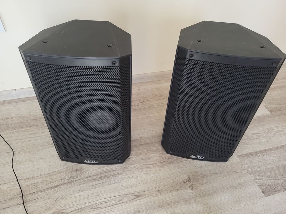Акустичну систему Alto Professional TS310.