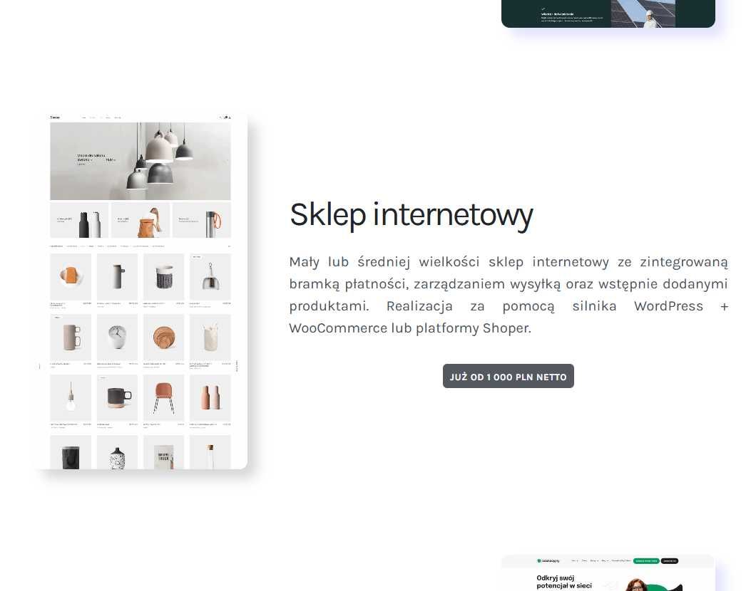 Strona interntowa | sklep www | tworzenie stron i sklepów onli