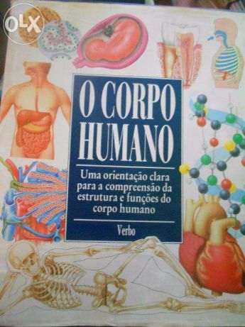 O Corpo Humano - Editorial Verbo