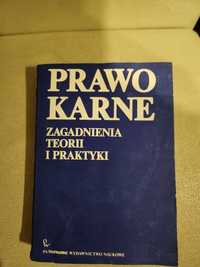 Prawo karne zagadnienia teorii i praktyki PWN 1986