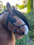 Sprzedam hobby horse A3