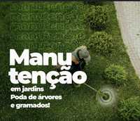 Faço manutenção em jardins