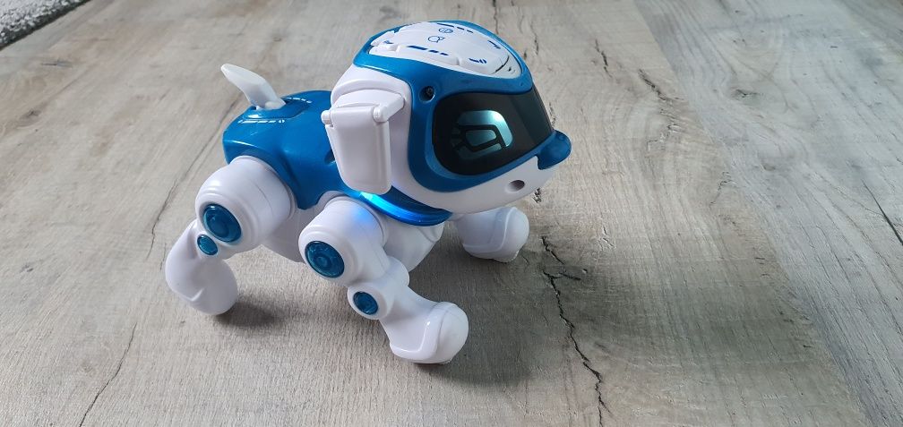 Cobi Robopies teksta pies robót, piesek. 360 stopni.
