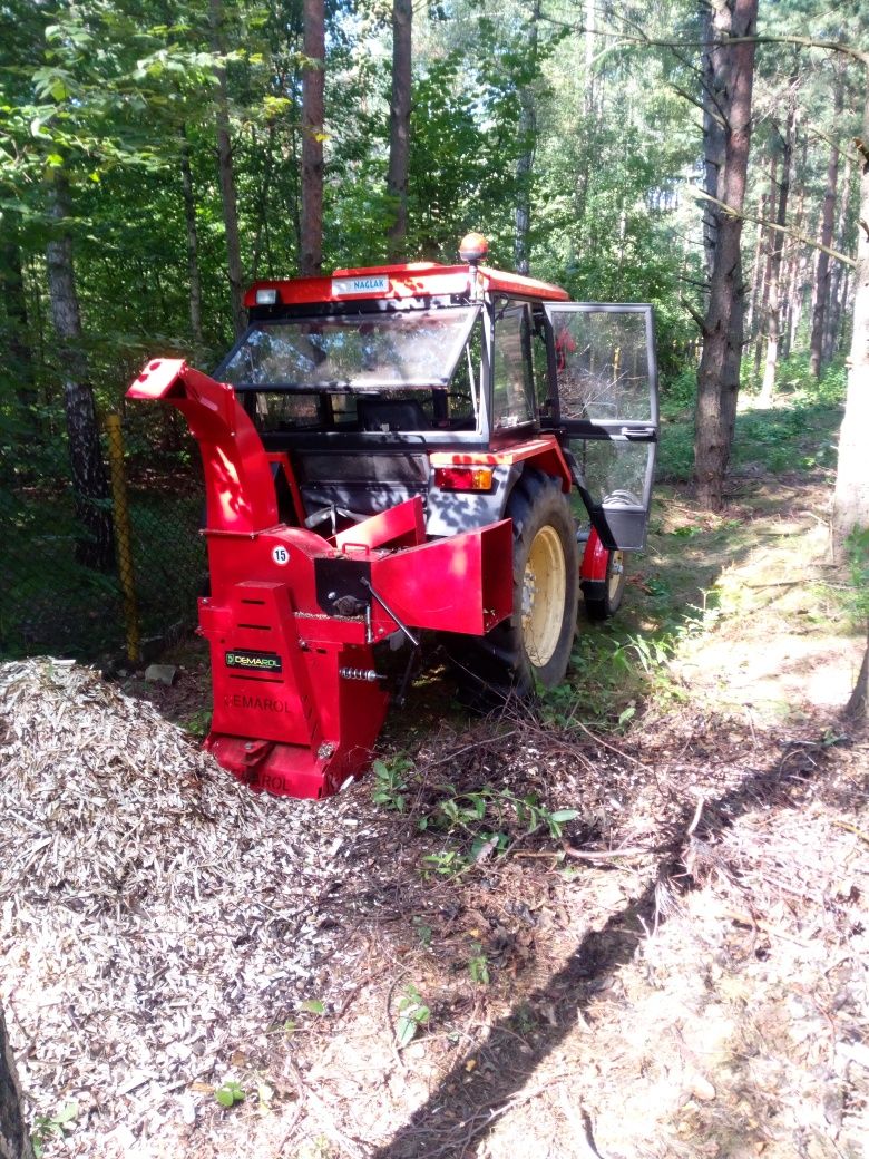 Czyszczenie działek wycinka drzew mielenie gałęzi