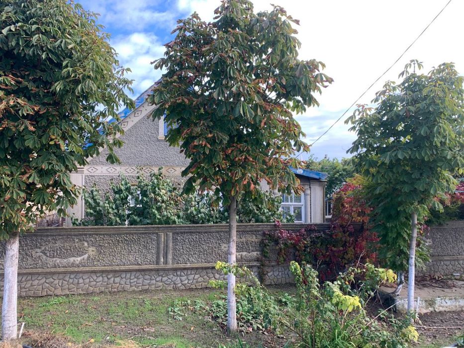 Продам дом в с. Борисовка