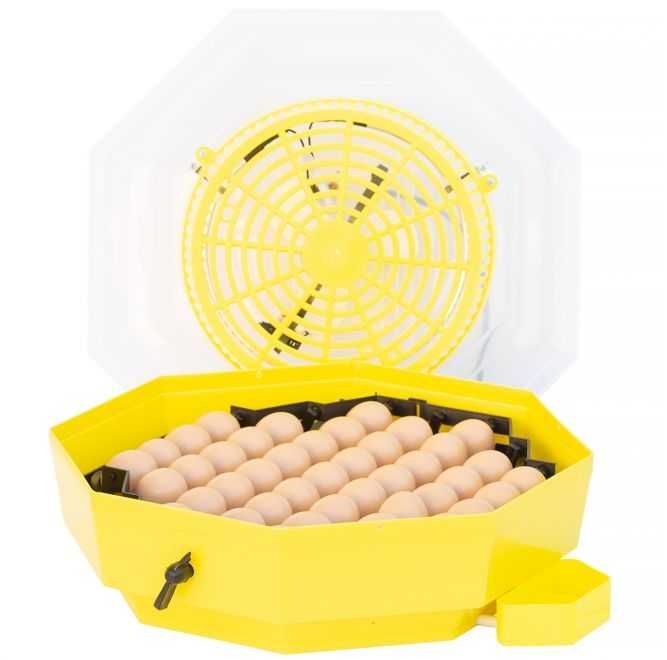Inkubator, wylęgarka klujnik CLEO 5, półautomat 41 jaj - 60 jaj