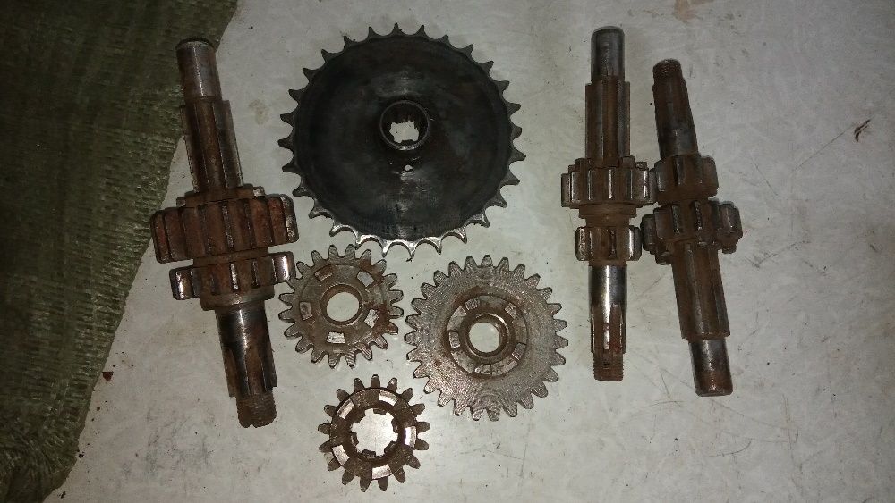 муравей инвалидка  кпп