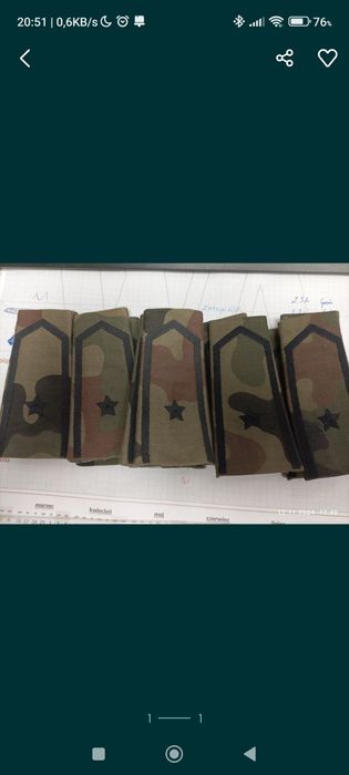 Pagony, pochewki  chorąży