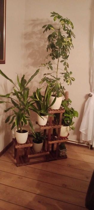 Kwietnik Drewniany Stojący Drabinka Regał Stojak Na Kwiaty Rośliny