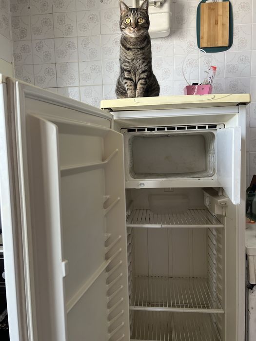 Продаю бу холодильник сумісний