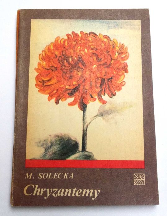 Chryzantemy - Maria Solecka poradnik kwiaty uprawa hodowla