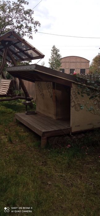 Продам собачу буду