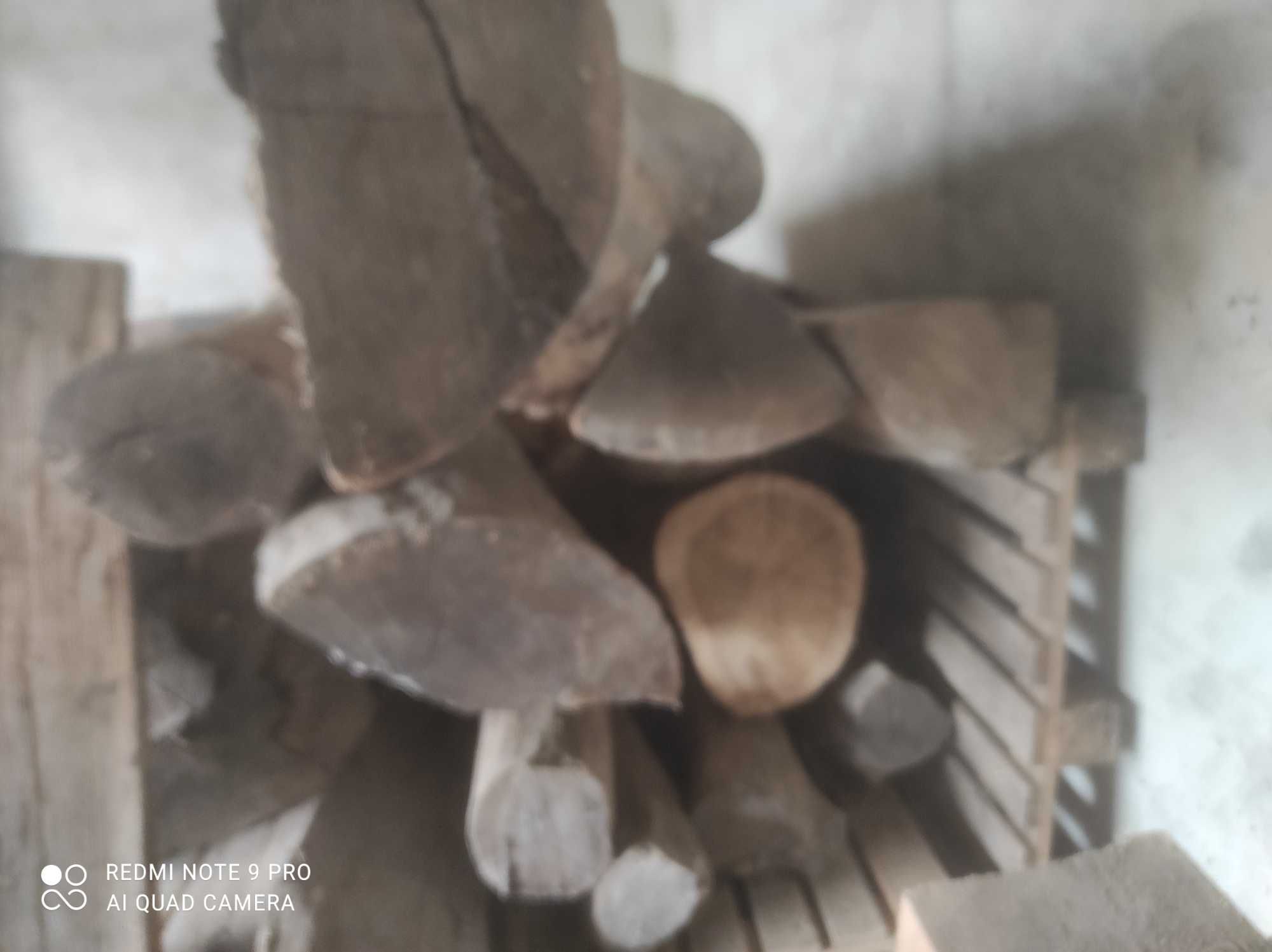 Drewno Dąb do przetarcia/na opał