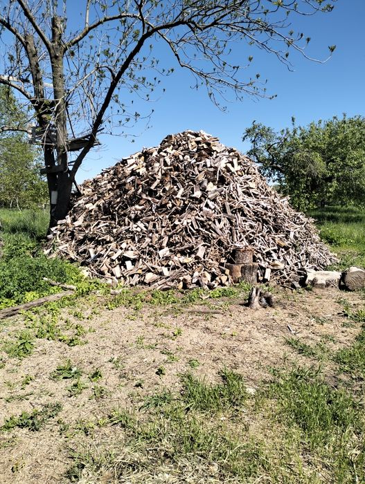 Продаж дров кому потрібно