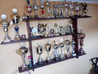 Puchary ,trofea, statuetki