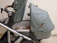 VISTA v2 Uppababy Wózek podwójny: 2 spacerówki i gondola, rok po roku