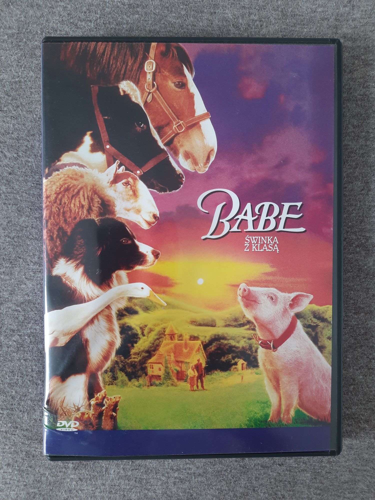 Film DVD Babe świnka z klasą