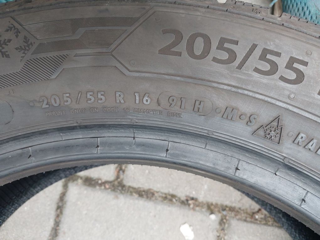 Barum Polaris 5 205/55R16 91 H