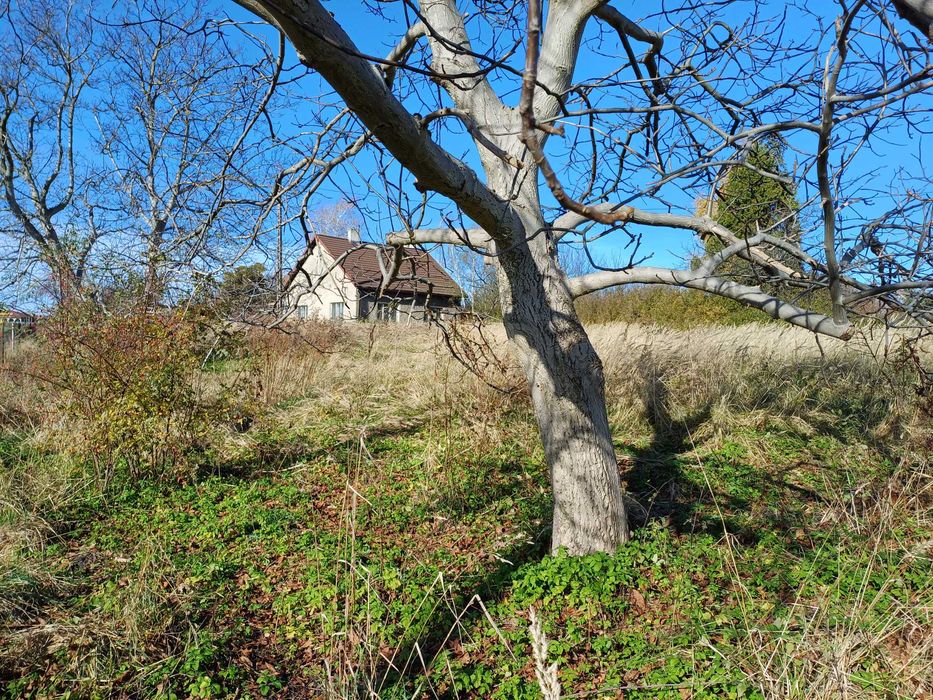 Sprzedam bezpośrednio dom z dużą działką Góra Św. Anny, opolskie