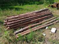 Stemple sosnowe 275cm 130szt