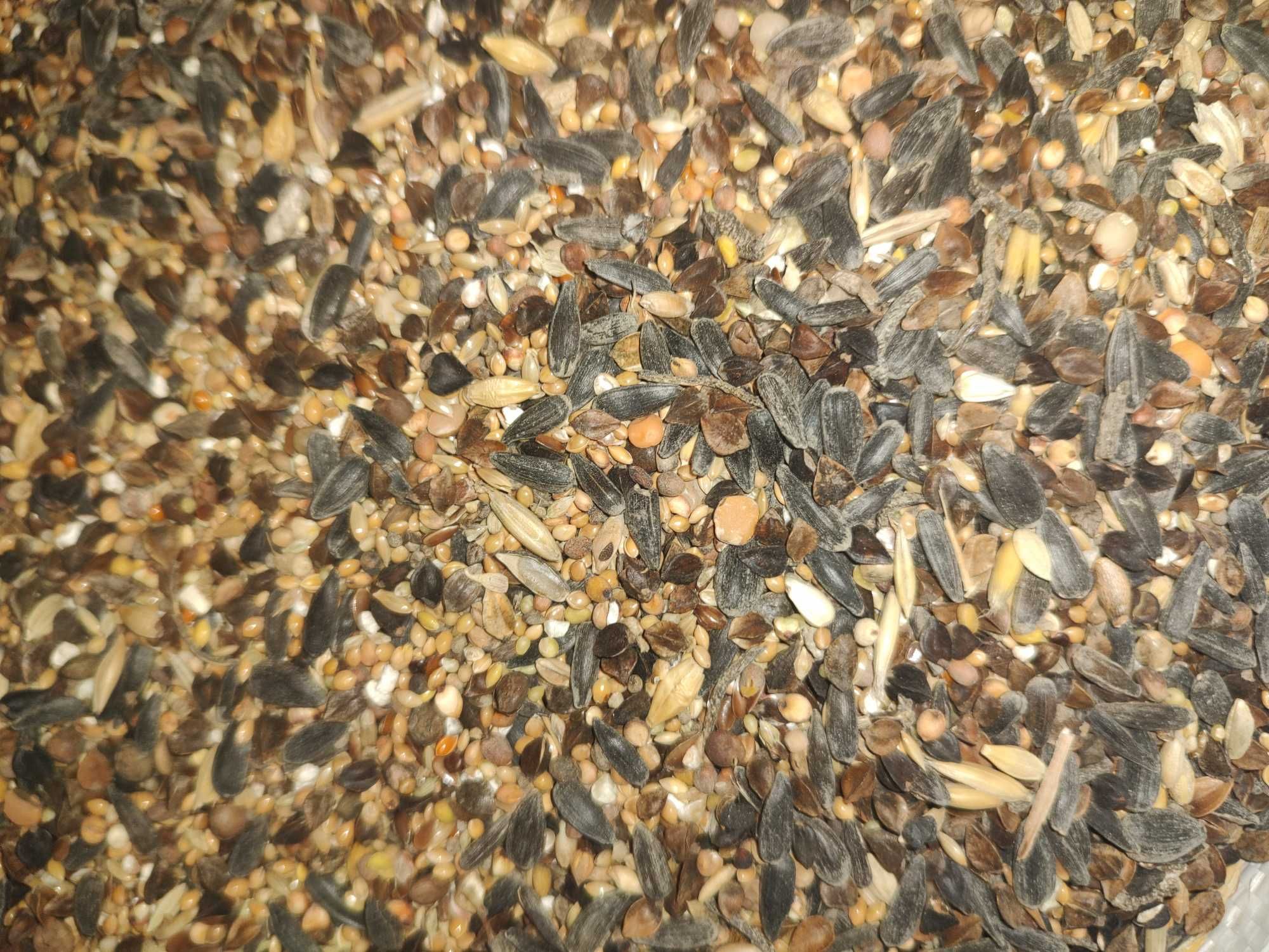 Karma dla gołębi drobne ziarna mix 25kg
