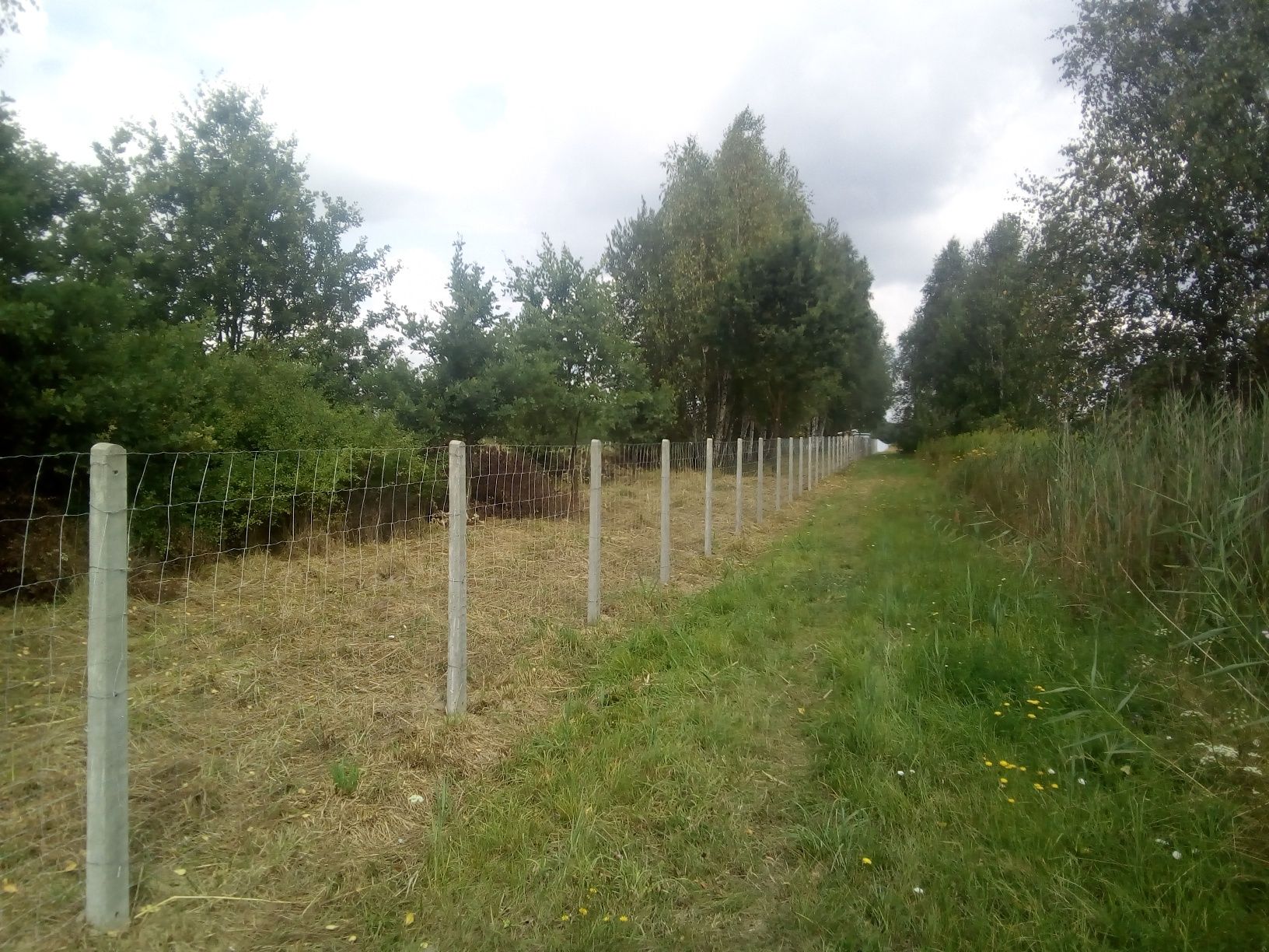 Solidne grodzenie budowlane
