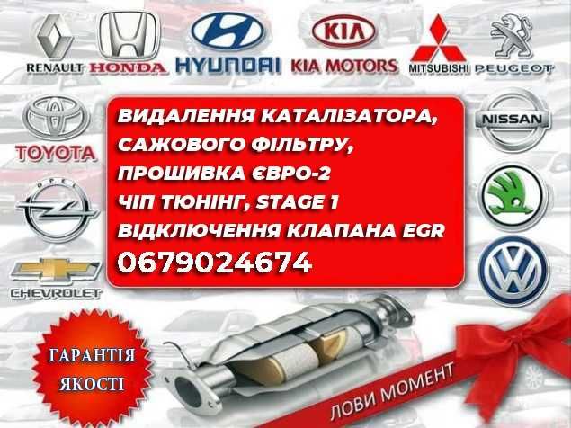 Видалення Каталізатора Прошивка Євро2 Чип Тюнінг DPF ЕГР Стейдж1 Check