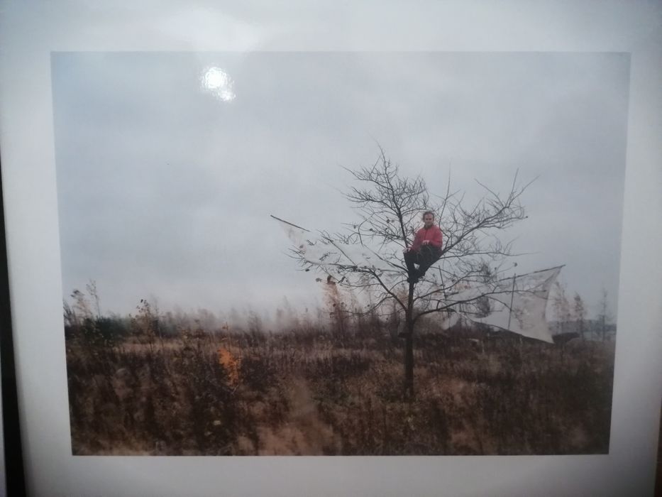 Fotografias Janne Lehtinen parte 3