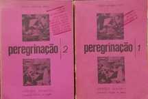 Peregrinação - Fernão Mendes Pinto (II Volumes)
