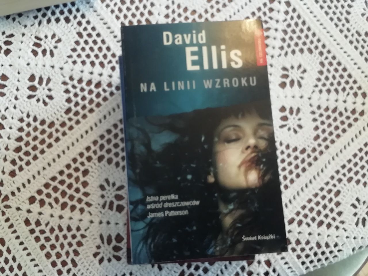 Na linii wzroku David Ellis