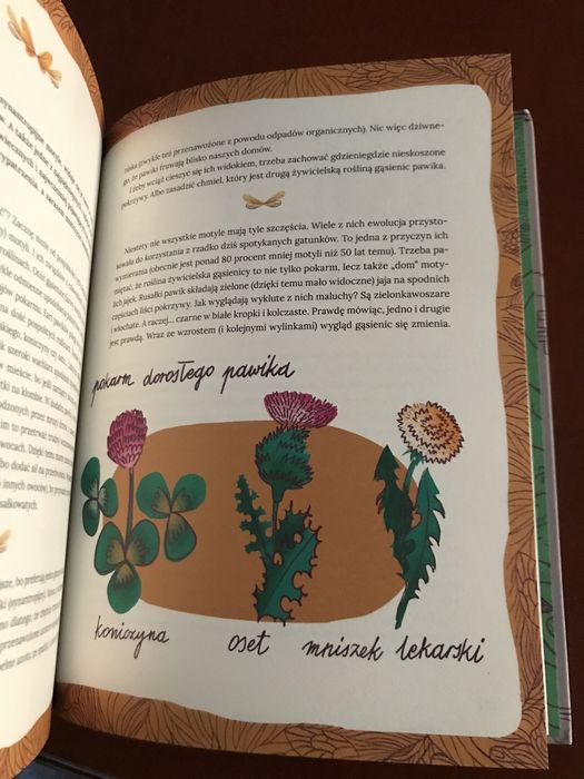 Zwierzęta miast czyli 22 portrety naszych nieudomowionych sąsiadów