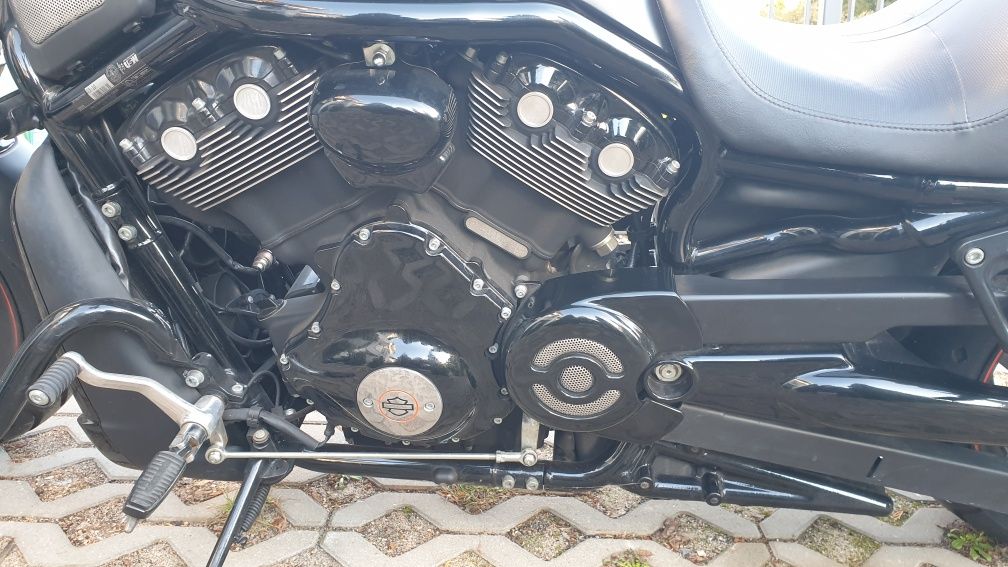 Sprzedam HD night-rod