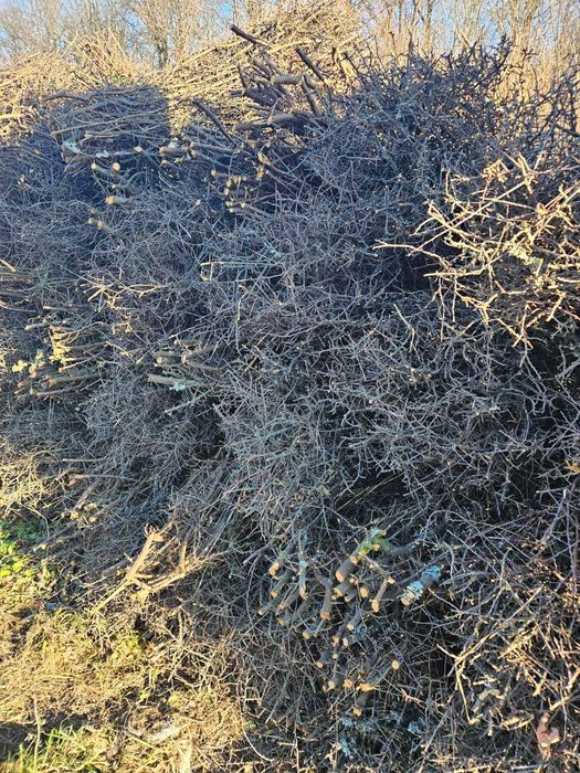 tarnina   tężnia solankowa  OD  RĘKI