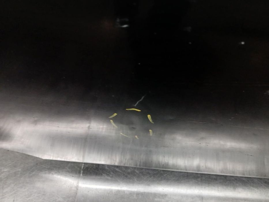 Porta trás direita FIAT Bravo II (198_)