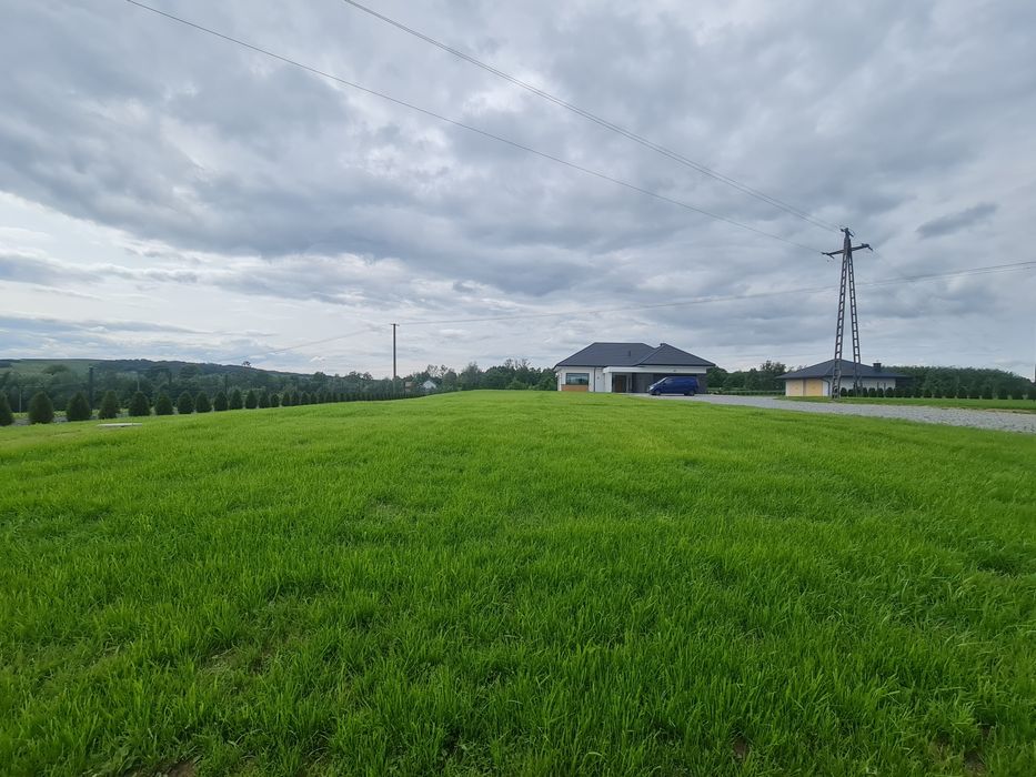 Glebogryzarka (separacyjna) równanie terenu pod trawnik, siew trawy