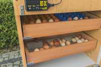 inkubator 70-80 jaj SPRAWDZONY przez wielu KLUJNIK do jaj kurzych Gesi
