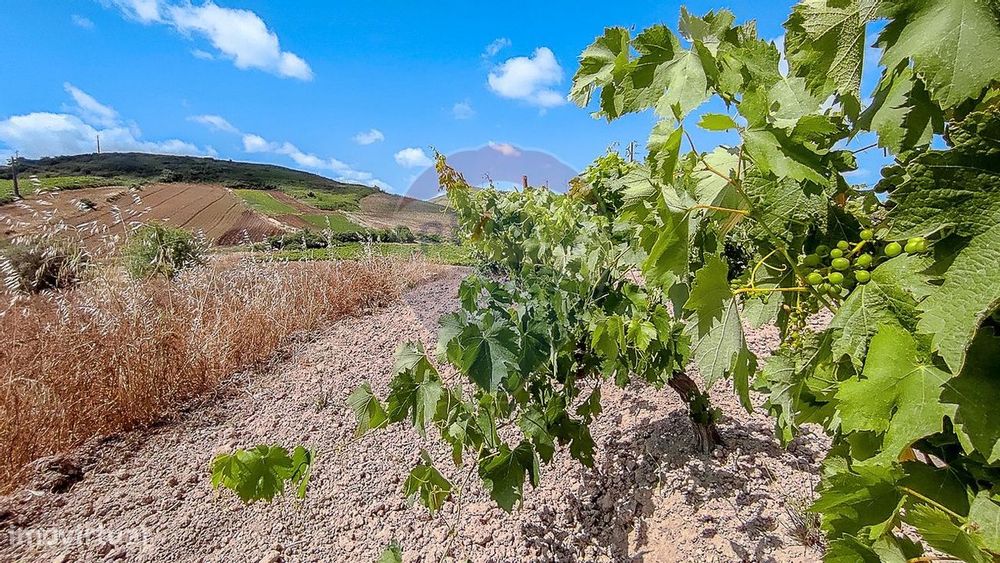 Terreno  para venda