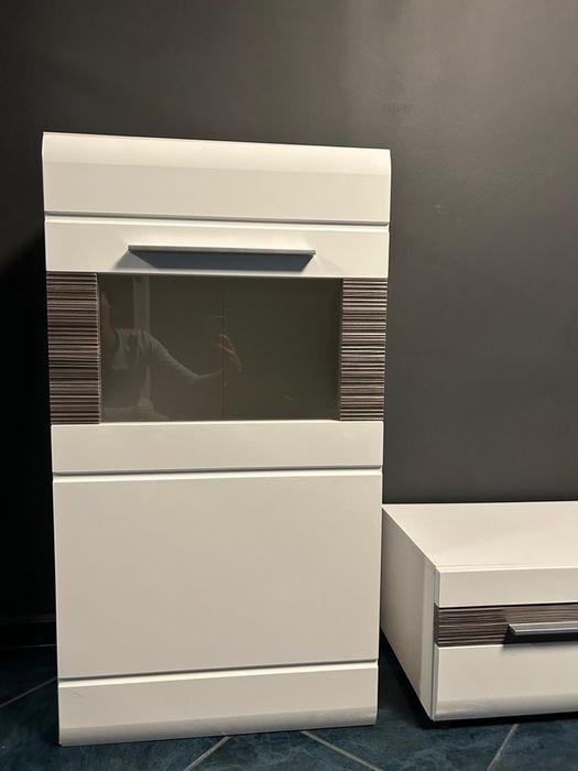 Mebloscianka biala w polysku