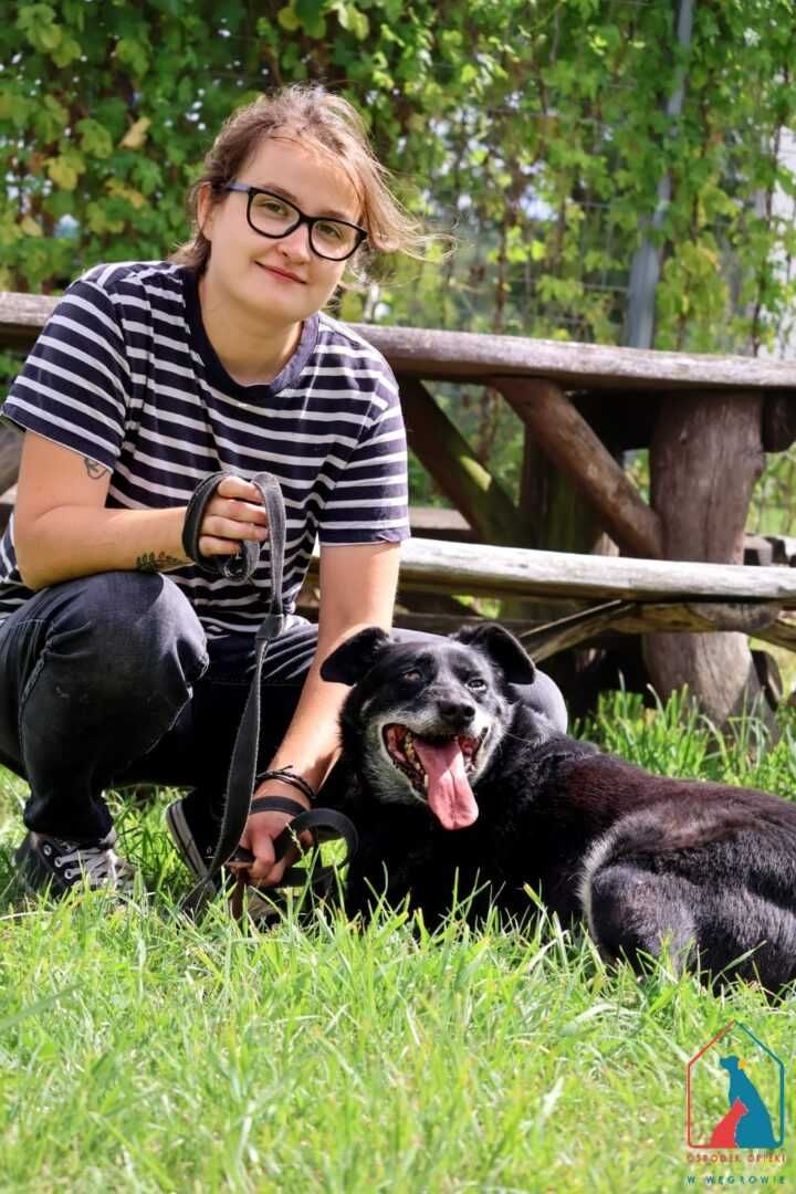 CIĄGLE UŚMIECHNIĘTY, łagodny i pogodny - amator spacerów - do adopcji