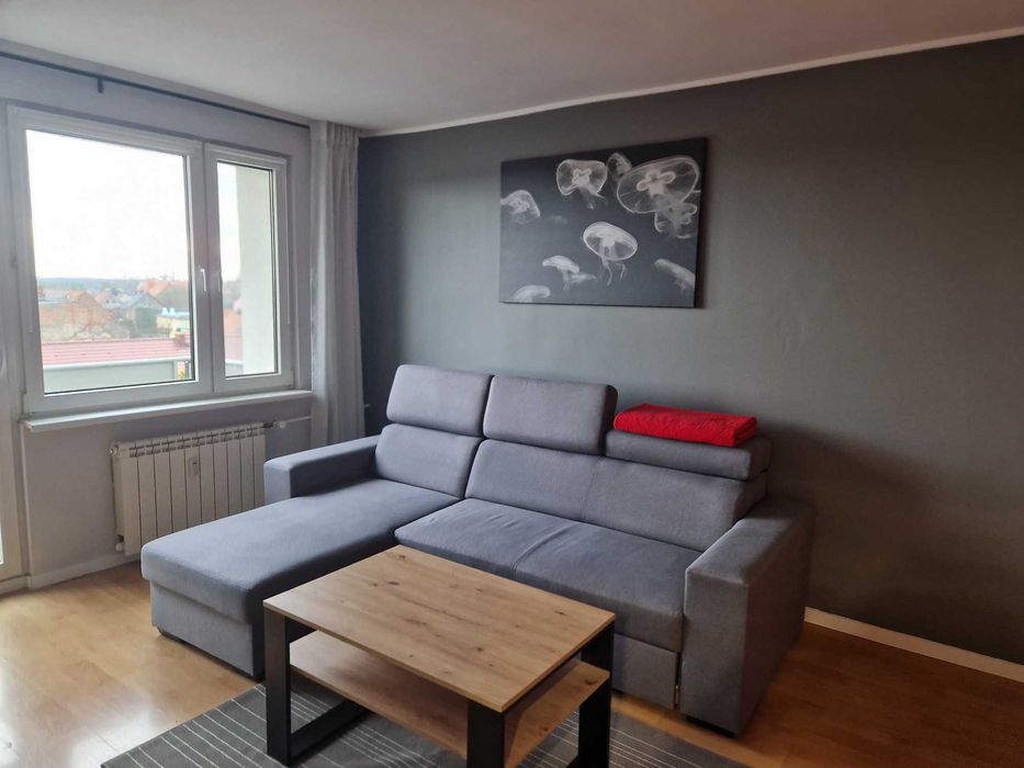 Mieszkanie na wynajem