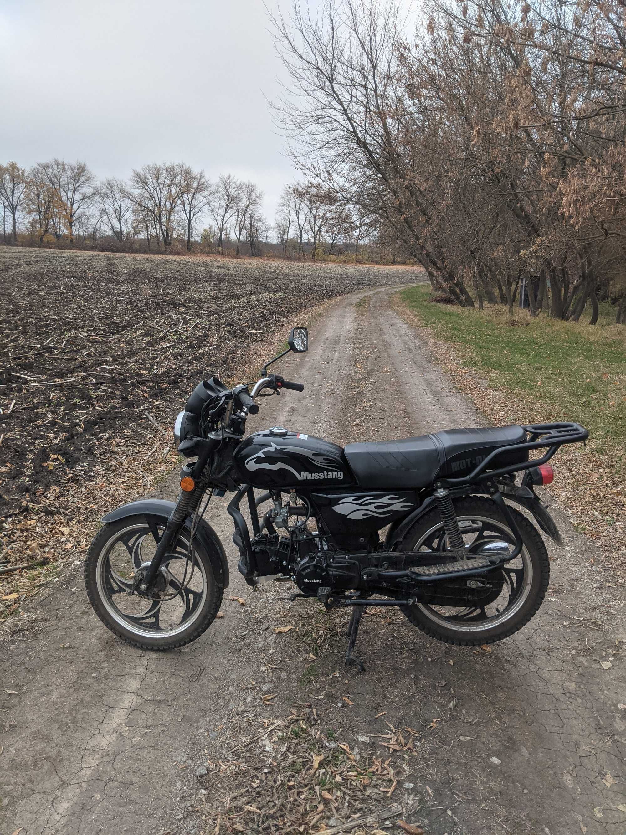 Мустанг фіт 125 Альфа