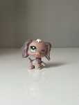 Lps fioletowy spaniel